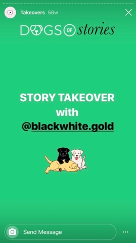 Instagram takeovers collaboration with dogs stories